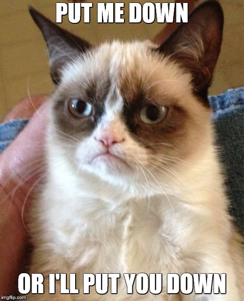 Grumpy Cat | PUT ME DOWN; OR I'LL PUT YOU DOWN | image tagged in memes,grumpy cat | made w/ Imgflip meme maker