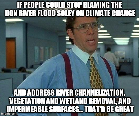 That Would Be Great Meme | IF PEOPLE COULD STOP BLAMING THE DON RIVER FLOOD SOLEY ON CLIMATE CHANGE AND ADDRESS RIVER CHANNELIZATION, VEGETATION AND WETLAND REMOVAL, A | image tagged in memes,that would be great | made w/ Imgflip meme maker