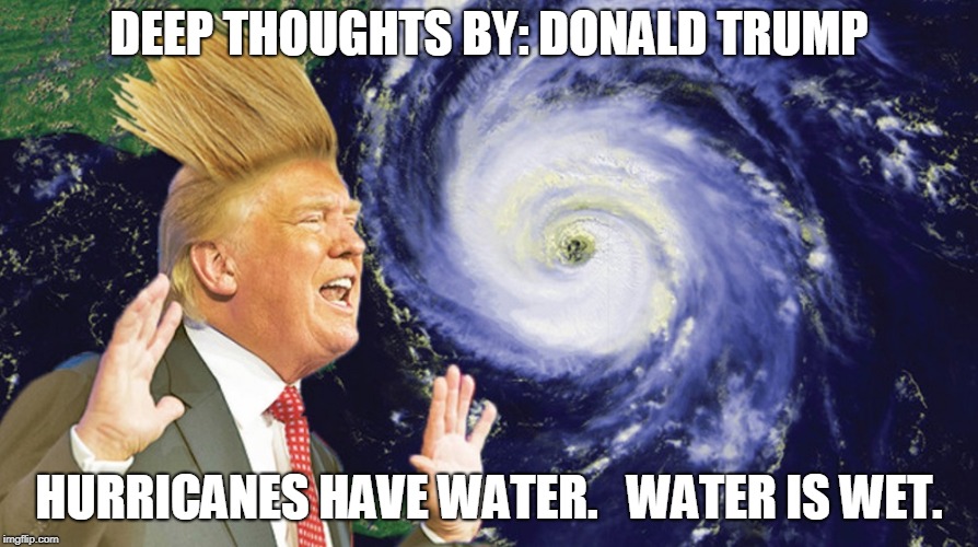 DEEP THOUGHTS BY: DONALD TRUMP; HURRICANES HAVE WATER.   WATER IS WET. | made w/ Imgflip meme maker