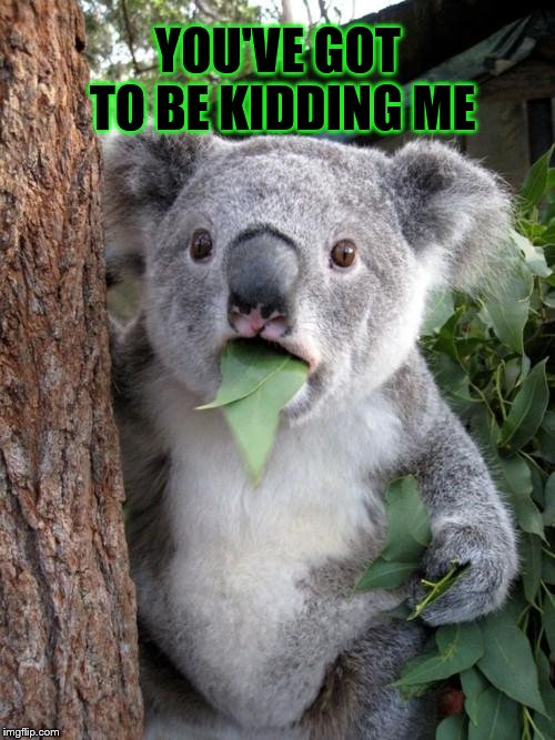 Koala Bear Says "You've got to be kidding me" | YOU'VE GOT TO BE KIDDING ME | image tagged in memes,surprised koala,shocked koala,you've got to be kidding me,no way | made w/ Imgflip meme maker