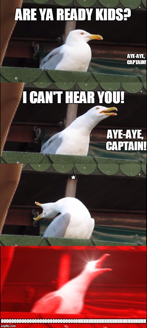 Inhaling Seagull | ARE YA READY KIDS? AYE-AYE, CAPTAIN! I CAN'T HEAR YOU! AYE-AYE, CAPTAIN! *; OOOOOOOOOOOOOOOOOOOOOOOOOOOOOOHHHHHHHHHHHHHHHHHHHHHHHHHH | image tagged in memes,inhaling seagull | made w/ Imgflip meme maker