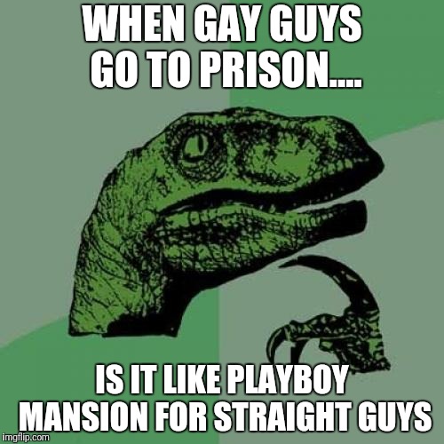 Philosoraptor | WHEN GAY GUYS GO TO PRISON.... IS IT LIKE PLAYBOY MANSION FOR STRAIGHT GUYS | image tagged in memes,philosoraptor | made w/ Imgflip meme maker