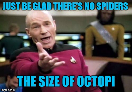 Picard Wtf Meme | JUST BE GLAD THERE'S NO SPIDERS THE SIZE OF OCTOPI | image tagged in memes,picard wtf | made w/ Imgflip meme maker