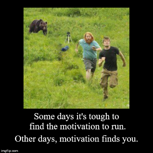 The proper motivation is all you need to ...... | image tagged in funny,demotivationals | made w/ Imgflip demotivational maker