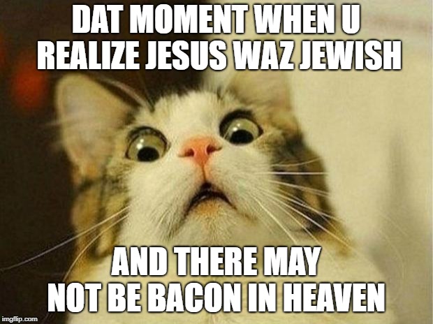 Scared Cat | DAT MOMENT WHEN U REALIZE JESUS WAZ JEWISH; AND THERE MAY NOT BE BACON IN HEAVEN | image tagged in memes,scared cat | made w/ Imgflip meme maker