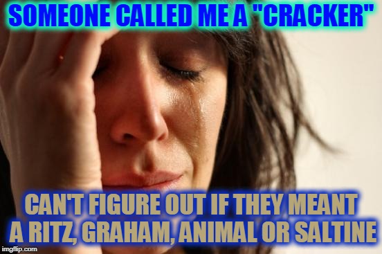 First World Problems Meme | SOMEONE CALLED ME A "CRACKER"; CAN'T FIGURE OUT IF THEY MEANT A RITZ, GRAHAM, ANIMAL OR SALTINE | image tagged in memes,first world problems | made w/ Imgflip meme maker