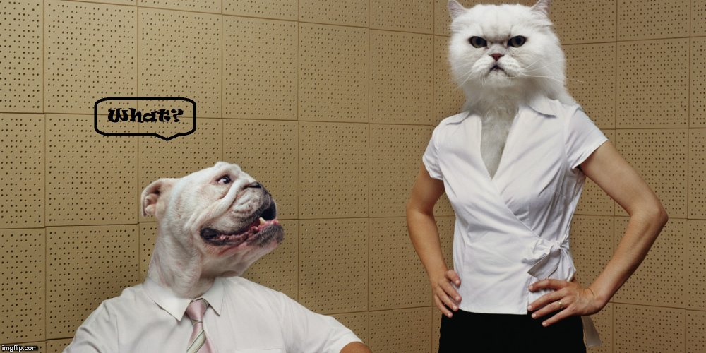 Like Cats and Dogs | image tagged in men and women,difference between men and women,cats,dogs | made w/ Imgflip meme maker