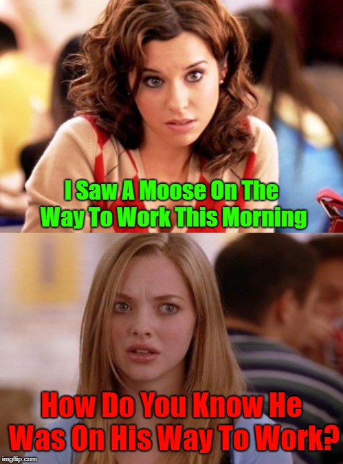 Communication |  I Saw A Moose On The Way To Work This Morning; How Do You Know He Was On His Way To Work? | image tagged in memes,blonde,communication,animals,conversation | made w/ Imgflip meme maker