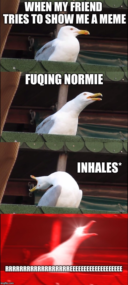 Inhaling Seagull | WHEN MY FRIEND TRIES TO SHOW ME A MEME; FUQING NORMIE; INHALES*; RRRRRRRRRRRRRRRRRREEEEEEEEEEEEEEEEEEE | image tagged in memes,inhaling seagull | made w/ Imgflip meme maker