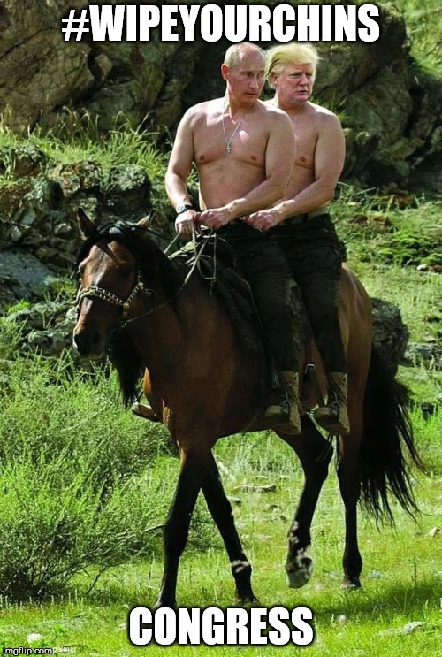 Trump Putin | #WIPEYOURCHINS; CONGRESS | image tagged in trump putin | made w/ Imgflip meme maker