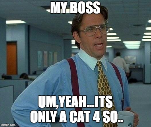 That Would Be Great Meme | MY BOSS; UM,YEAH...ITS ONLY A CAT 4 SO.. | image tagged in memes,that would be great | made w/ Imgflip meme maker