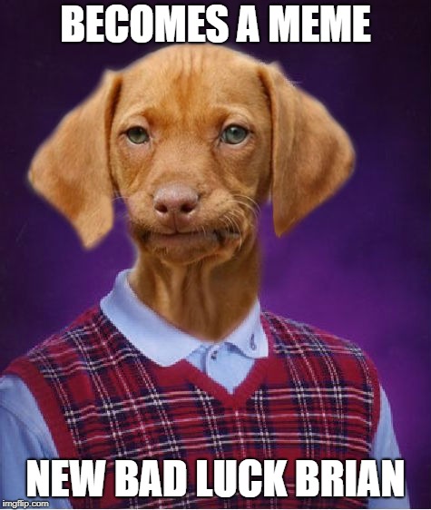 Bad Luck Raydog | BECOMES A MEME NEW BAD LUCK BRIAN | image tagged in bad luck raydog | made w/ Imgflip meme maker