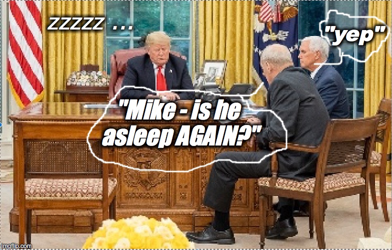 "yep"; zzzzz ... "Mike - is he asleep AGAIN?" | image tagged in donald trump | made w/ Imgflip meme maker
