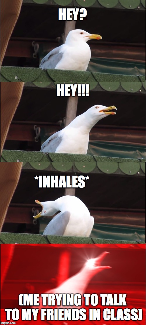Inhaling Seagull | HEY? HEY!!! *INHALES*; (ME TRYING TO TALK TO MY FRIENDS IN CLASS) | image tagged in memes,inhaling seagull | made w/ Imgflip meme maker
