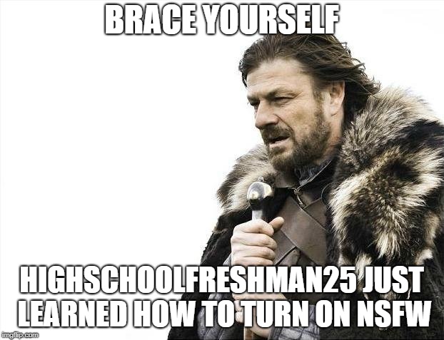 A whole lot of fun is coming | BRACE YOURSELF; HIGHSCHOOLFRESHMAN25 JUST LEARNED HOW TO TURN ON NSFW | image tagged in memes,brace yourselves x is coming | made w/ Imgflip meme maker