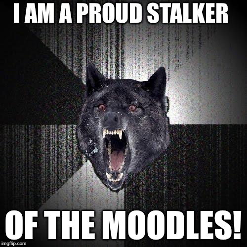 Insanity Wolf Meme | I AM A PROUD STALKER; OF THE MOODLES! | image tagged in memes,insanity wolf | made w/ Imgflip meme maker