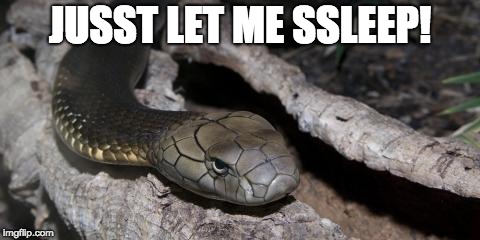 When You Can't Sleep Because Stuff | JUSST LET ME SSLEEP! | image tagged in annoyed | made w/ Imgflip meme maker