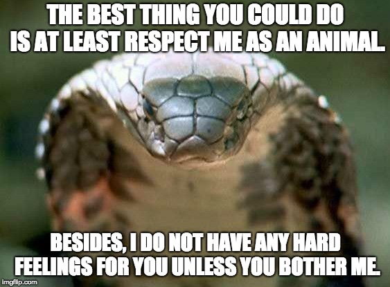 good advice snake | THE BEST THING YOU COULD DO IS AT LEAST RESPECT ME AS AN ANIMAL. BESIDES, I DO NOT HAVE ANY HARD FEELINGS FOR YOU UNLESS YOU BOTHER ME. | image tagged in good advice snake | made w/ Imgflip meme maker
