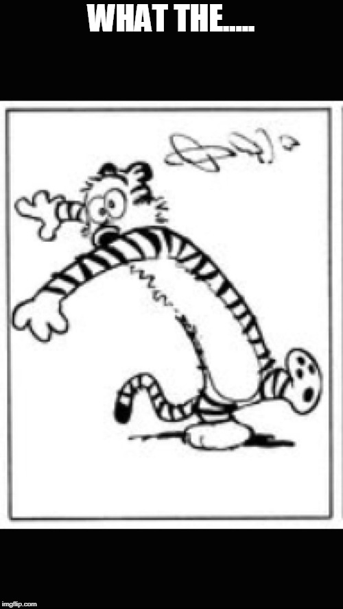 Hobbes dizzy  | WHAT THE..... | image tagged in hobbes dizzy | made w/ Imgflip meme maker