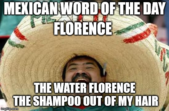 mexican word of the day | MEXICAN WORD OF THE DAY; FLORENCE; THE WATER FLORENCE THE SHAMPOO OUT OF MY HAIR | image tagged in mexican word of the day | made w/ Imgflip meme maker