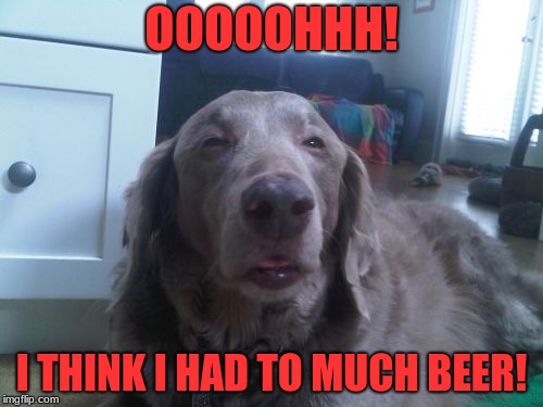 High Dog |  OOOOOHHH! I THINK I HAD TO MUCH BEER! | image tagged in memes,high dog,drunk dog | made w/ Imgflip meme maker