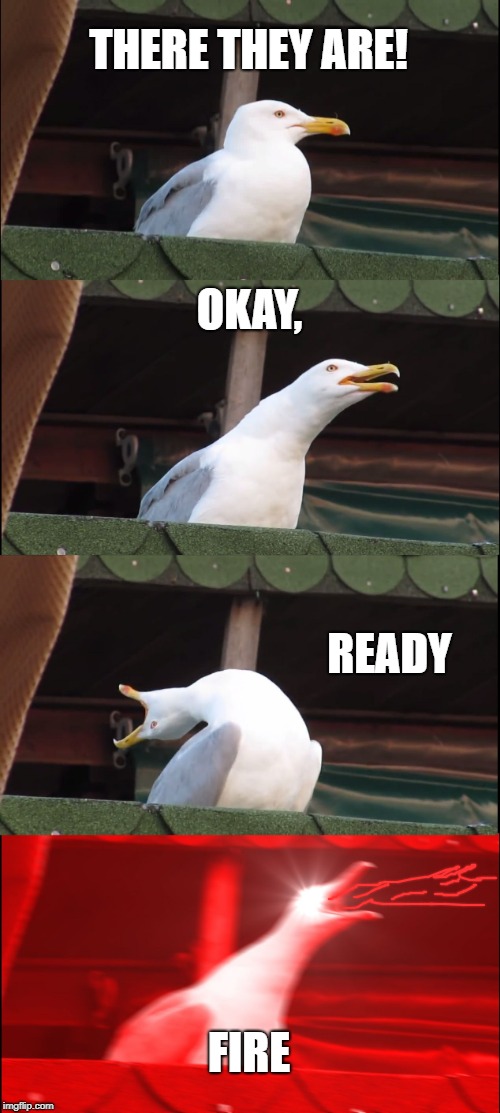 Inhaling Seagull Meme | THERE THEY ARE! OKAY, READY; FIRE | image tagged in memes,inhaling seagull | made w/ Imgflip meme maker