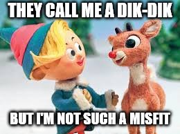 THEY CALL ME A DIK-DIK BUT I'M NOT SUCH A MISFIT | made w/ Imgflip meme maker