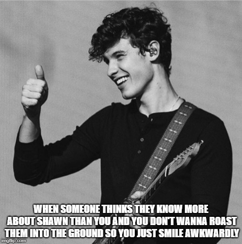 WHEN SOMEONE THINKS THEY KNOW MORE ABOUT SHAWN THAN YOU AND YOU DON'T WANNA ROAST THEM INTO THE GROUND SO YOU JUST SMILE AWKWARDLY | image tagged in celebrity,shawn mendes | made w/ Imgflip meme maker