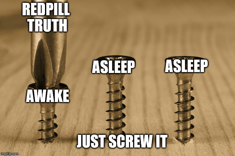 REDPILL TRUTH; ASLEEP; ASLEEP; AWAKE; JUST SCREW IT | made w/ Imgflip meme maker