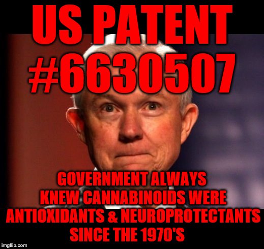 Jeff Sessions | US PATENT #6630507; GOVERNMENT ALWAYS KNEW CANNABINOIDS WERE ANTIOXIDANTS & NEUROPROTECTANTS SINCE THE 1970'S | image tagged in jeff sessions | made w/ Imgflip meme maker