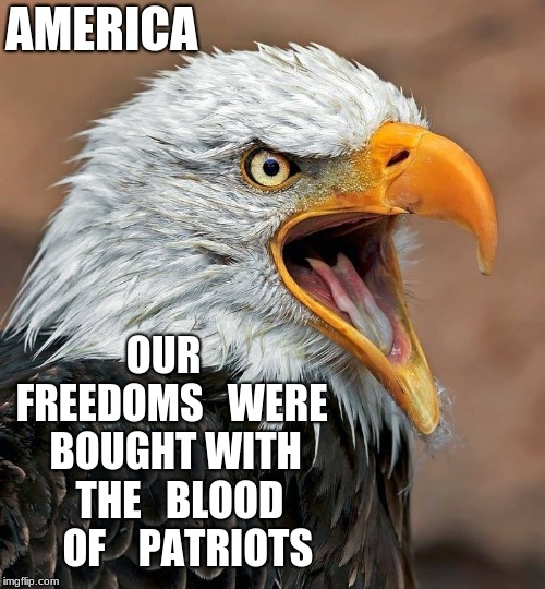 AMERICA; OUR   FREEDOMS   WERE   BOUGHT WITH   THE   BLOOD    OF    PATRIOTS | image tagged in america,blood of patriots | made w/ Imgflip meme maker