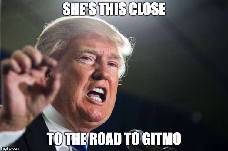 donald trump | SHE'S THIS CLOSE; TO THE ROAD TO GITMO | image tagged in donald trump | made w/ Imgflip meme maker