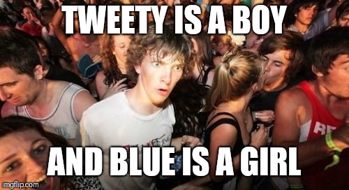 Sudden Clarity Clarence | TWEETY IS A BOY; AND BLUE IS A GIRL | image tagged in memes,sudden clarity clarence,blues clues,looney tunes | made w/ Imgflip meme maker