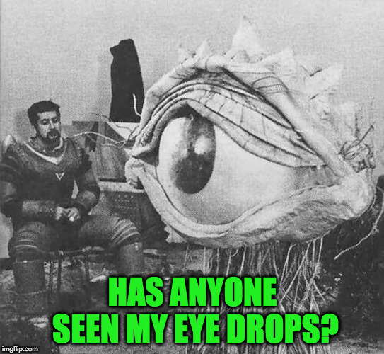 eye drops | HAS ANYONE SEEN MY EYE DROPS? | image tagged in funny meme | made w/ Imgflip meme maker
