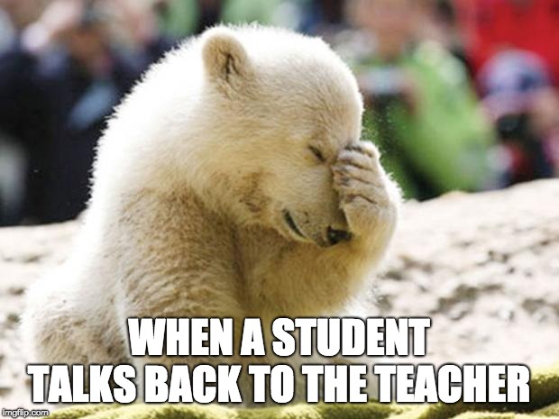 Sad Polar Bear | WHEN A STUDENT TALKS BACK TO THE TEACHER | image tagged in sad polar bear | made w/ Imgflip meme maker