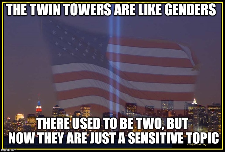 THE TWIN TOWERS ARE LIKE GENDERS | THE TWIN TOWERS ARE LIKE GENDERS; THERE USED TO BE TWO, BUT NOW THEY ARE JUST A SENSITIVE TOPIC | image tagged in 9/11 memorial,twin towers,gender identity | made w/ Imgflip meme maker