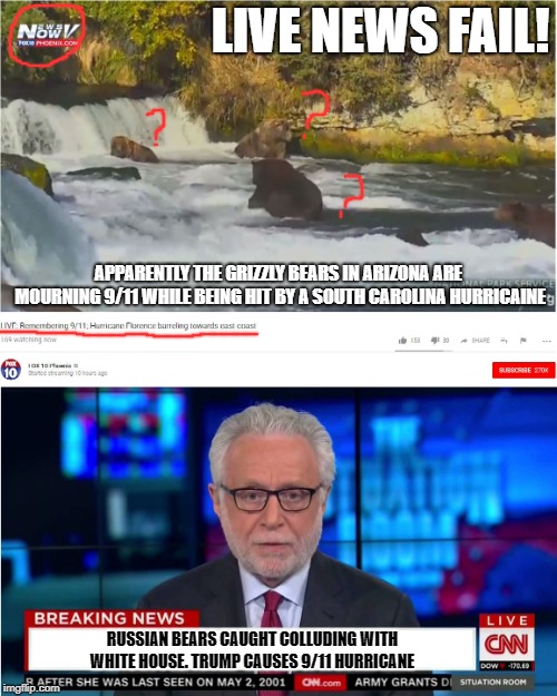 I was looking for live coverage of Hurricane Florence when... | LIVE NEWS FAIL! APPARENTLY THE GRIZZLY BEARS IN ARIZONA ARE MOURNING 9/11 WHILE BEING HIT BY A SOUTH CAROLINA HURRICAINE; RUSSIAN BEARS CAUGHT COLLUDING WITH WHITE HOUSE. TRUMP CAUSES 9/11 HURRICANE | image tagged in epic fail,fake news,hurricane,mainstream media | made w/ Imgflip meme maker