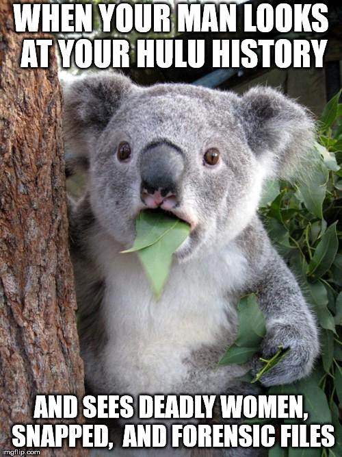 Surprised Koala | WHEN YOUR MAN LOOKS AT YOUR HULU HISTORY; AND SEES DEADLY WOMEN, SNAPPED,  AND FORENSIC FILES | image tagged in memes,surprised koala | made w/ Imgflip meme maker