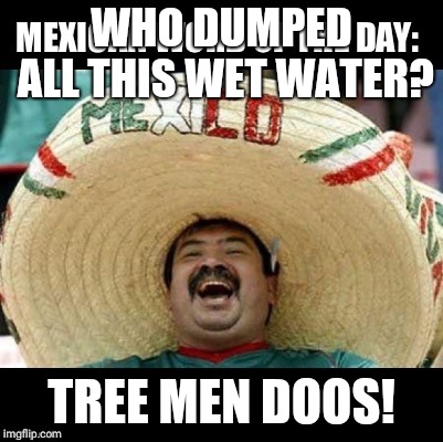 Mexican Word of the Day (LARGE) | WHO DUMPED ALL THIS WET WATER? TREE MEN DOOS! | image tagged in mexican word of the day large | made w/ Imgflip meme maker