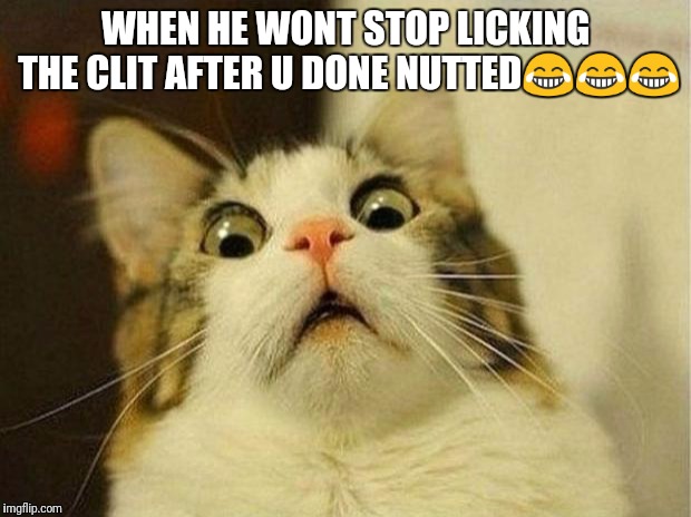 Scared Cat Meme | WHEN HE WONT STOP LICKING THE CLIT AFTER U DONE NUTTED😂😂😂 | image tagged in memes,scared cat | made w/ Imgflip meme maker