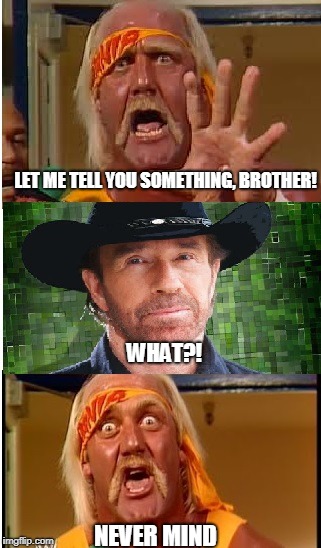 Chuck Norris Hulk Hogan | LET ME TELL YOU SOMETHING, BROTHER! WHAT?! NEVER MIND | image tagged in chuck norris,memes,hulk hogan | made w/ Imgflip meme maker