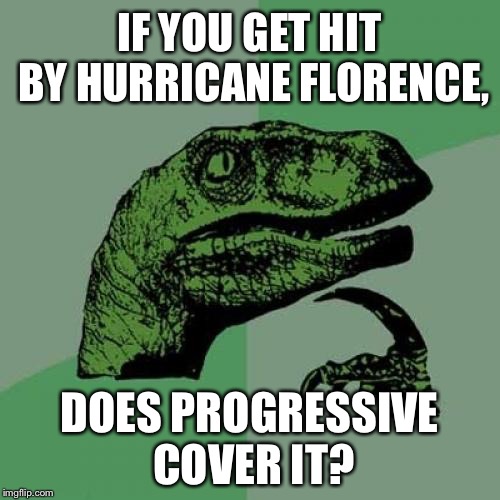 Hurricane Flo from Progressive | IF YOU GET HIT BY HURRICANE FLORENCE, DOES PROGRESSIVE COVER IT? | image tagged in memes,philosoraptor,flo from progressive,hurricane,bad joke,flood | made w/ Imgflip meme maker