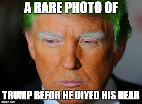 trump hear | A RARE PHOTO OF; TRUMP BEFOR HE DIYED HIS HEAR | image tagged in meme,trump,funny | made w/ Imgflip meme maker