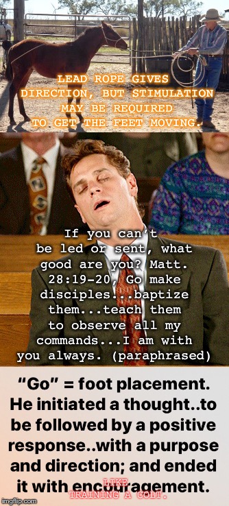 LEAD ROPE GIVES DIRECTION, BUT STIMULATION MAY BE REQUIRED TO GET THE FEET MOVING. If you can’t be led or sent, what good are you? Matt. 28:19-20, Go make disciples...baptize them...teach them to observe all my commands...I am with you always. (paraphrased); LIKE TRAINING A COLT. | made w/ Imgflip meme maker