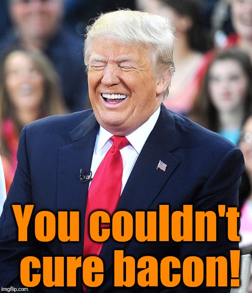 trump laughing | You couldn't cure bacon! | image tagged in trump laughing | made w/ Imgflip meme maker