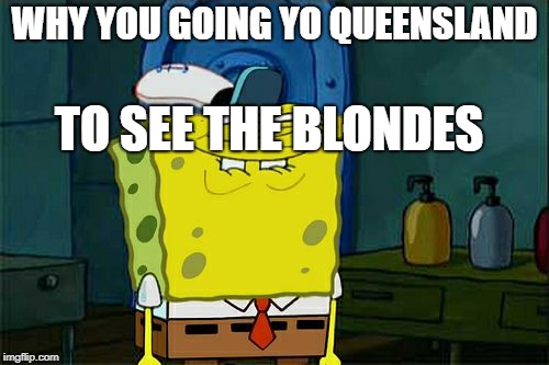 Don't You Squidward | WHY YOU GOING YO QUEENSLAND; TO SEE THE BLONDES | image tagged in memes,dont you squidward | made w/ Imgflip meme maker