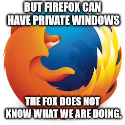 Firefox "best internet" | BUT FIREFOX CAN HAVE PRIVATE WINDOWS THE FOX DOES NOT KNOW WHAT WE ARE DOING. | image tagged in firefox best internet,firefox | made w/ Imgflip meme maker