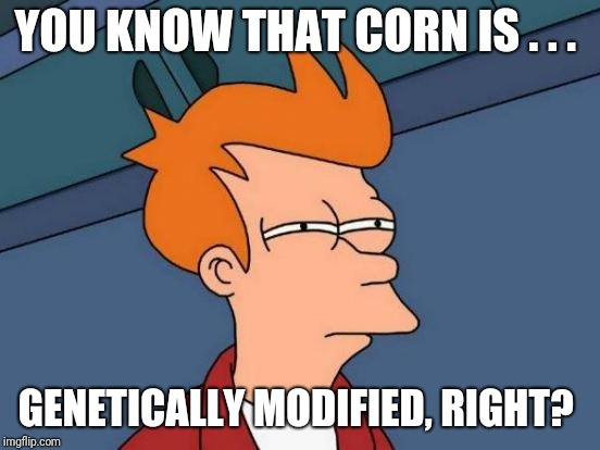 Futurama Fry Meme | YOU KNOW THAT CORN IS . . . GENETICALLY MODIFIED, RIGHT? | image tagged in memes,futurama fry | made w/ Imgflip meme maker