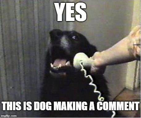 Yes this is dog | YES THIS IS DOG MAKING A COMMENT | image tagged in yes this is dog | made w/ Imgflip meme maker