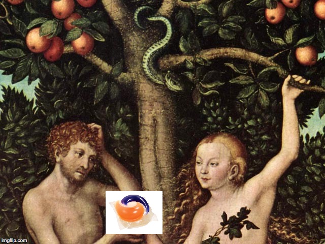 Biblical depiction of Adam and Eve eating the forbidden fruit... | image tagged in adam and eve,tide pods,memes,funny,bible,tide pod challenge | made w/ Imgflip meme maker